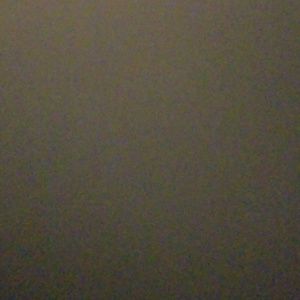 Meet your Posher, Cecilia